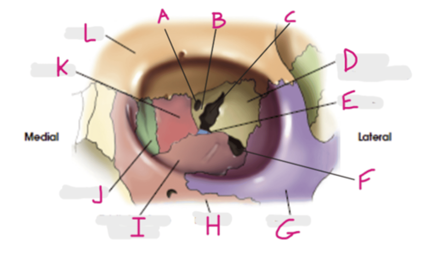 <p>A</p>