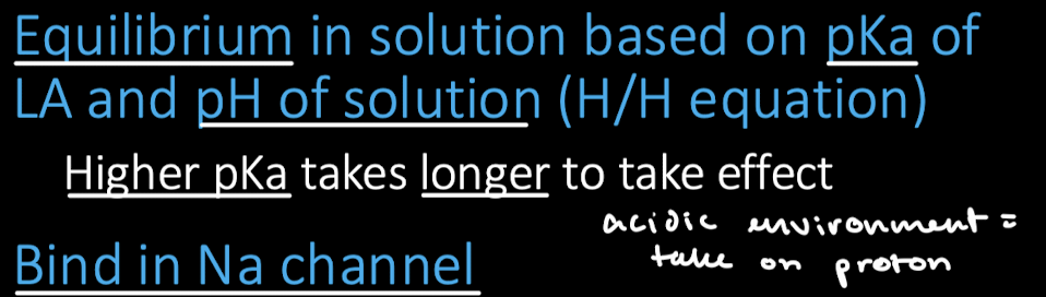 <p>The pKa of LA and pH of solution (H/H equation). Higher pKa takes longer to take effect</p>
