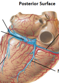 <p>Middle left</p>