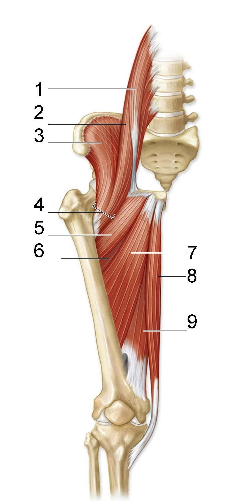 <p>What is identified in the photo 1-9</p>