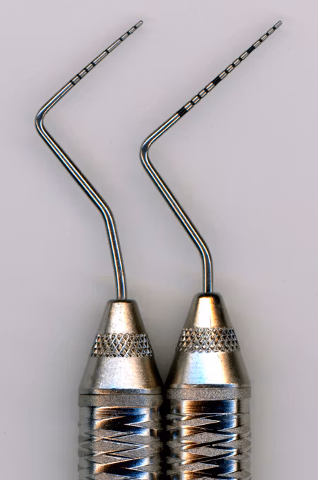 <p>Describe Probe</p>