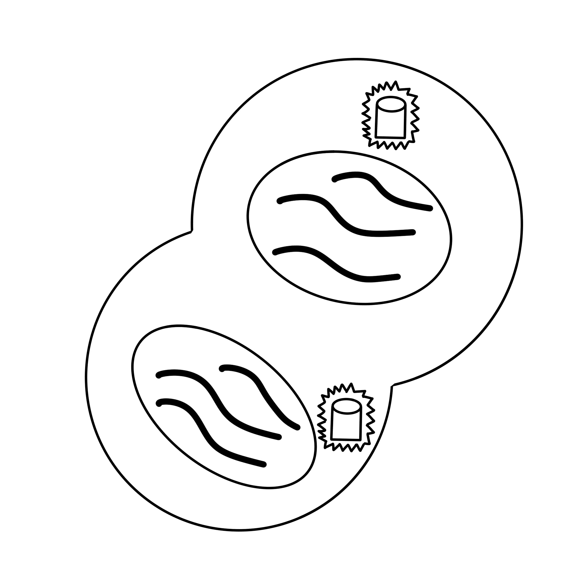 knowt flashcard image