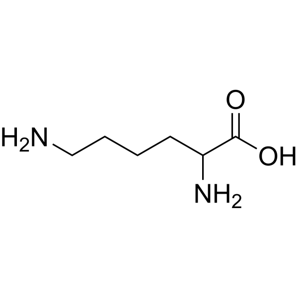 <p>R-group: 4 x CH2 + NH3+; polar positive charge; pkR = 10.5 (acid at ph=7)</p>