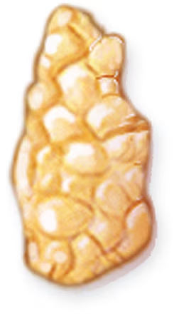 <p><span style="font-family: Aptos, sans-serif; line-height: 115%;">Collections of lymphatic tissue located in pharynx to combat microorganisms entering body through nose or mouth; Include pharyngeal tonsils, palatine tonsils, and lingual tonsils</span></p>