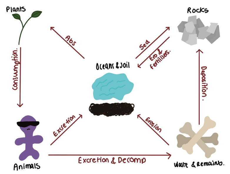 knowt flashcard image