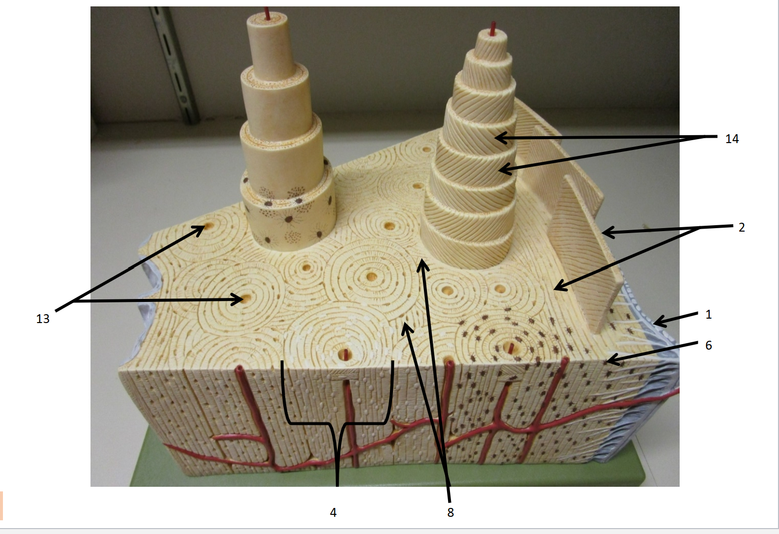 <p>1</p>