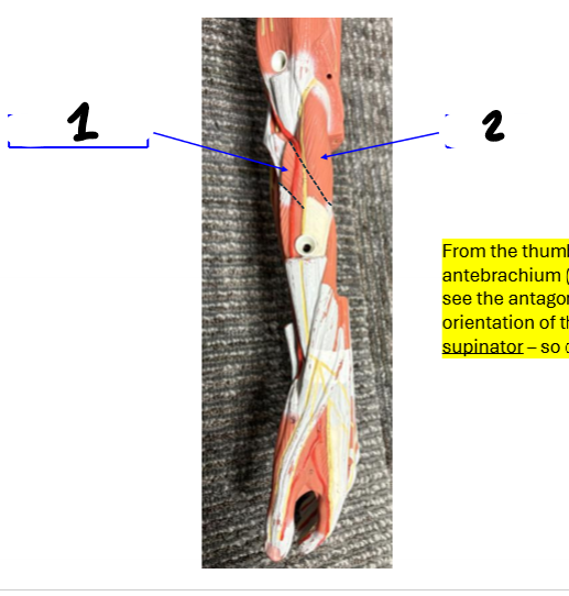 <p>2</p>