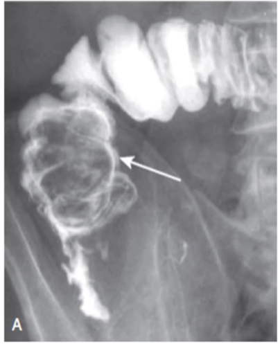 <p>diagnosis</p>