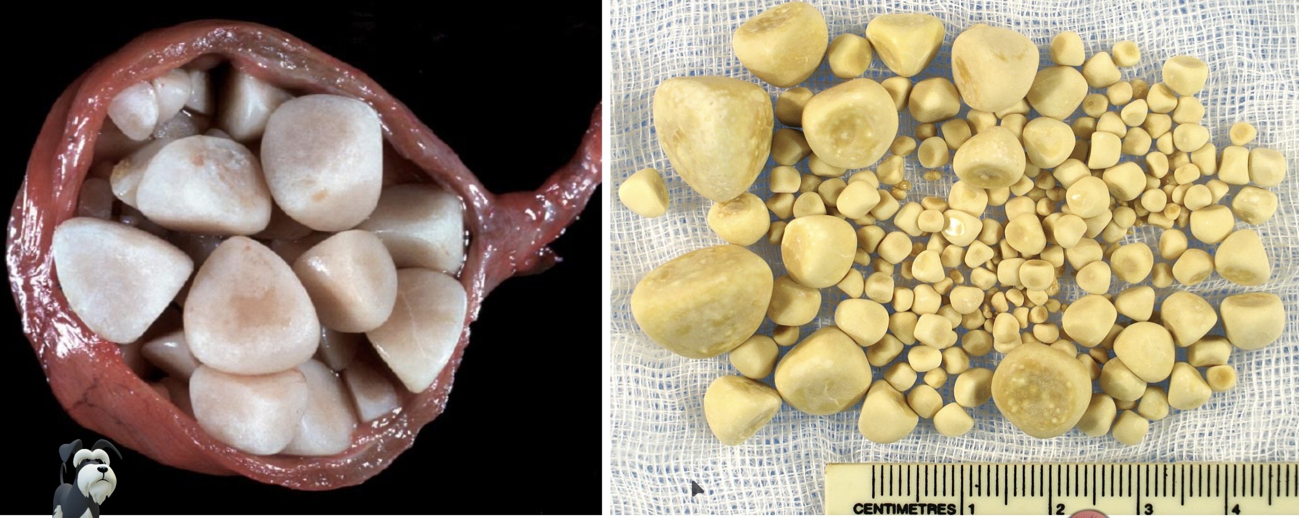 <p></p>
