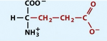 <p>pH 4.07</p><p>negatively charged</p>