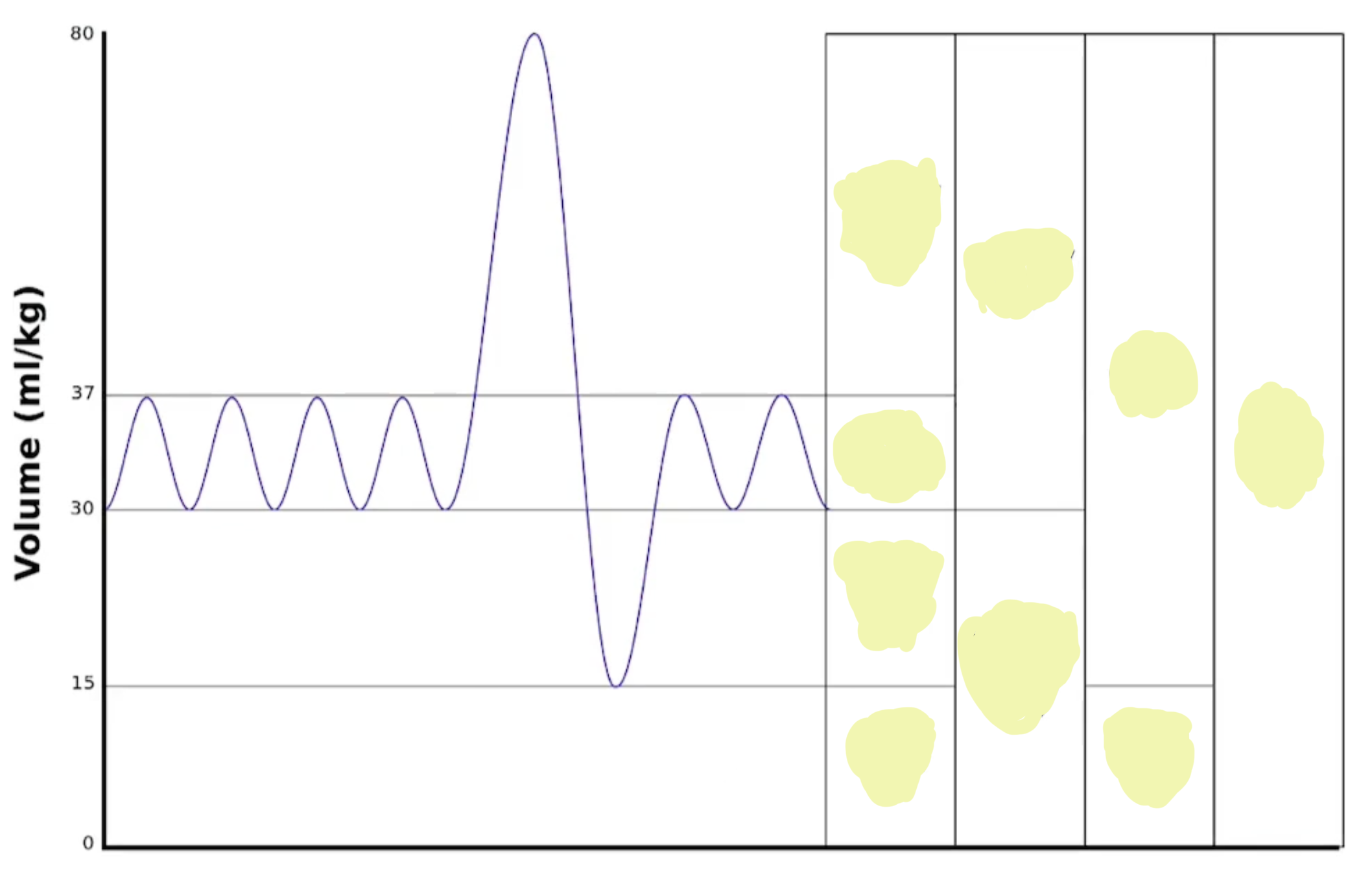 <p>Name these lung volumes & lung capacities <br></p>