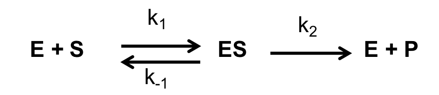 <p>which rate constant is k cat equal to?</p>