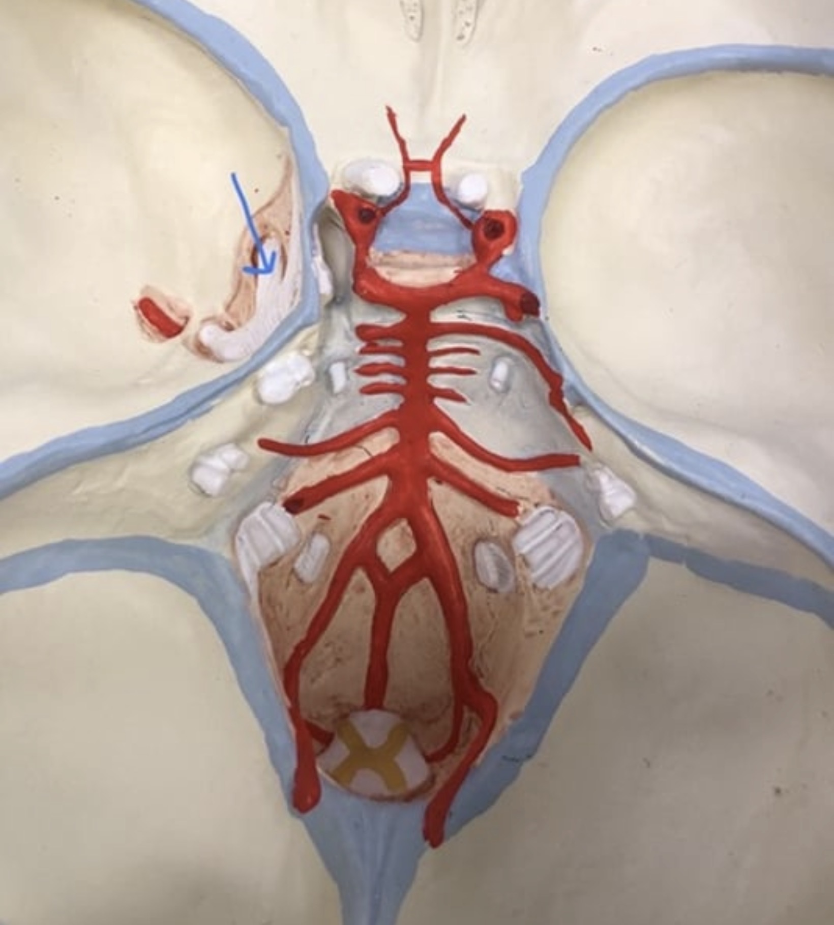 knowt flashcard image