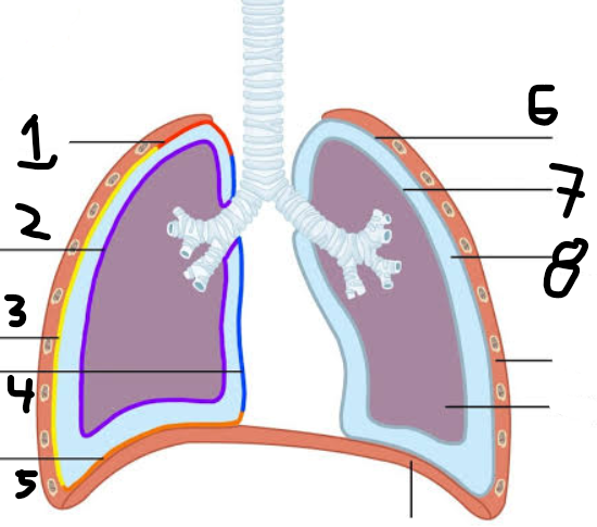 <p>1</p>