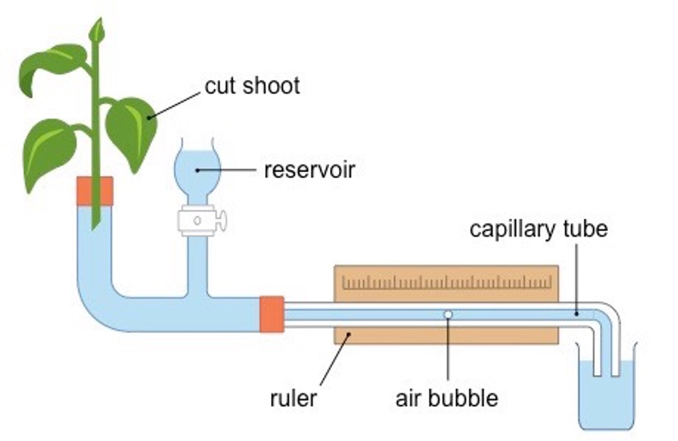 <p>Estimates transpiration rate</p><p>Record distance moved by an air bubble- indicates rate of uptake</p>