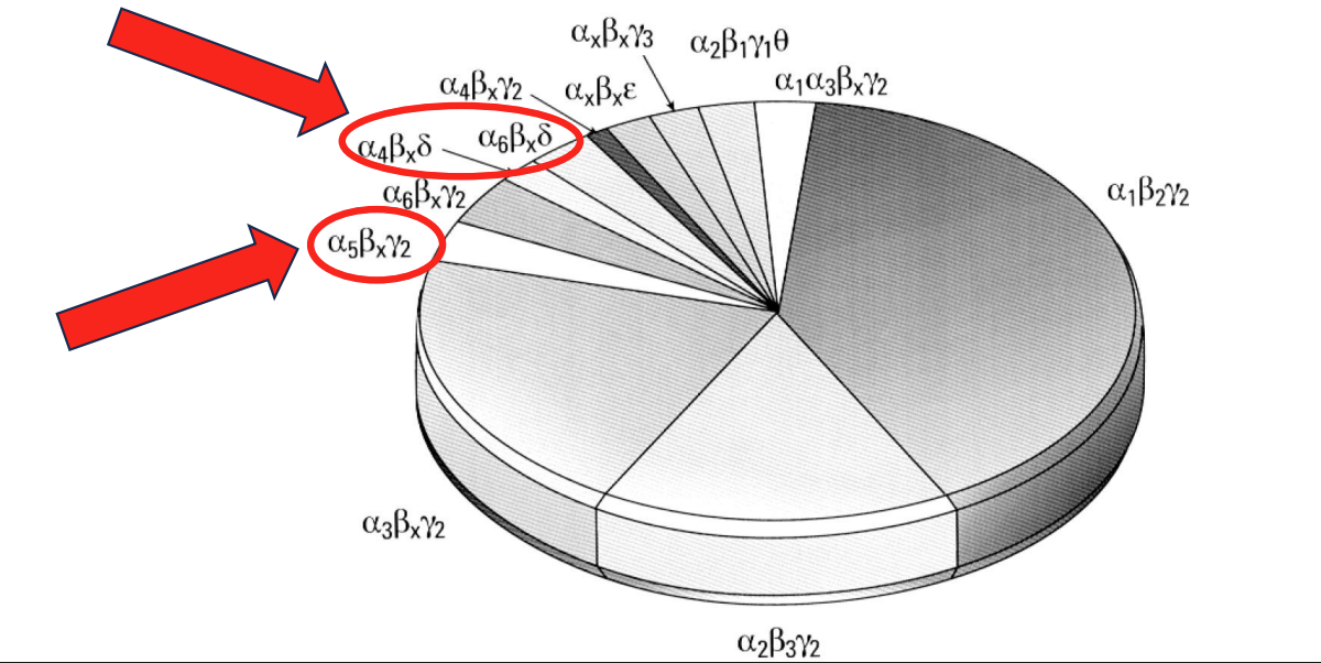 <ul><li><p>Preferred stoichiometry of 2α:2β:γ or δ. Though many are possible, only a handful exist. Some are more common than others!</p></li></ul><div data-type="horizontalRule"><hr></div><ul><li><p>some are most abundant</p></li><li><p>a1, a3, b, gamma are possible but far less common → possibly restricted expression</p></li><li><p>significant for learning, memory, mood, and more (ones highlighted)</p><ul><li><p>show diff pattern of exp + functionality than other receptors (next slide)</p></li></ul></li></ul><p></p>