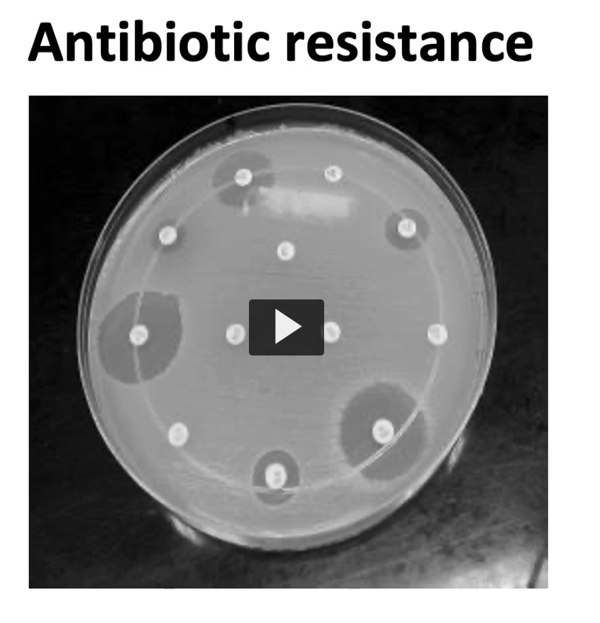 <p>come back to this</p>