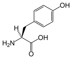 <p>(Tyr, Y) Neutral-polar, hydrophilic</p>