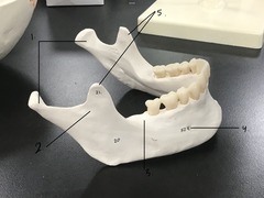<p>What is 4</p>