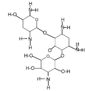 <p>[AMINOGLYCOSIDES]</p><p>a. Gentamicin</p><p>b. Tobramycin</p><p>c. Amikacin</p><p>d. Neomycin</p><p>e. Kanamycin</p><p>f. Streptomycin</p>