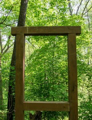 <p>The photographers shown MOST likely created emphasis through:</p>
