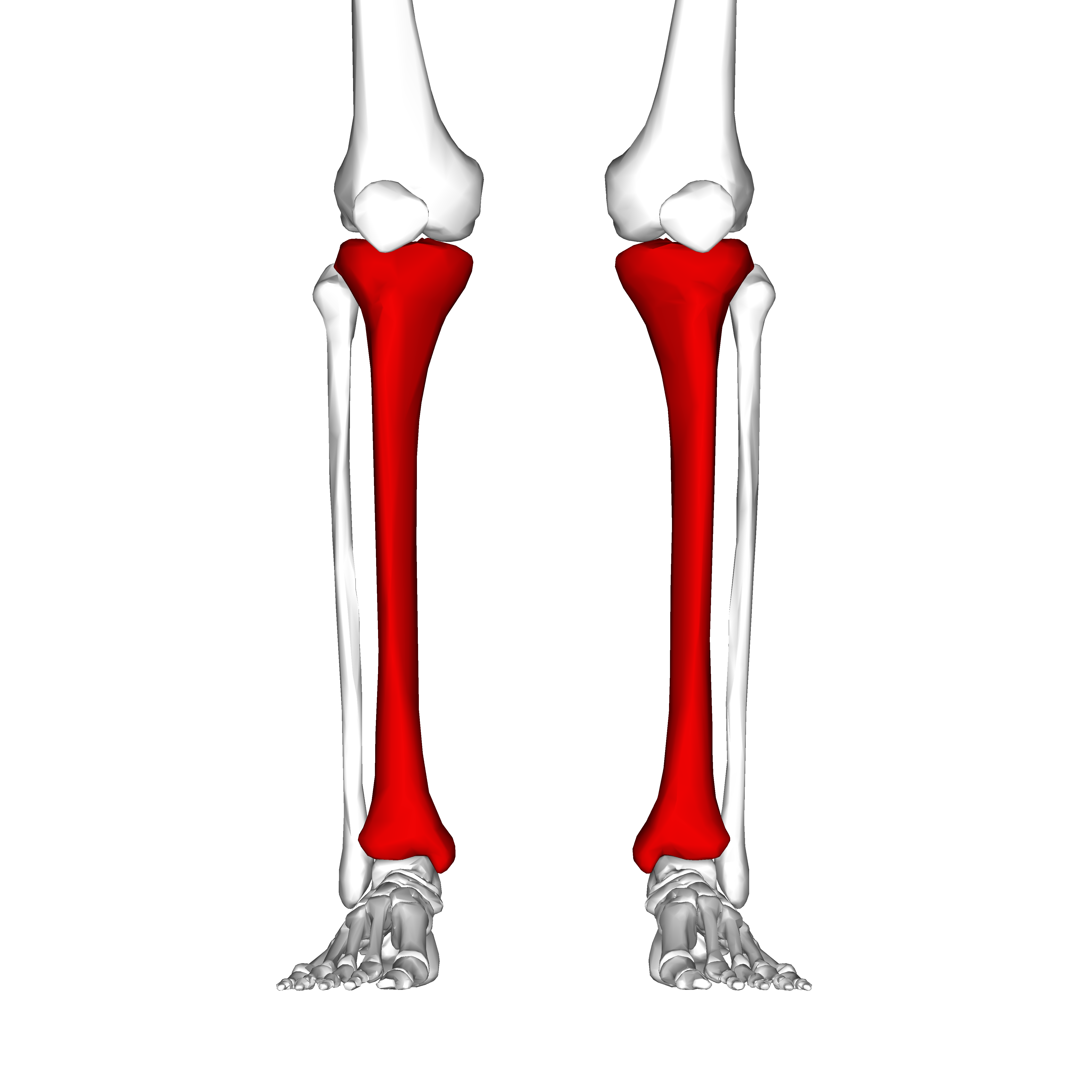<p>structure</p>