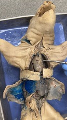 <p>what is this?</p>