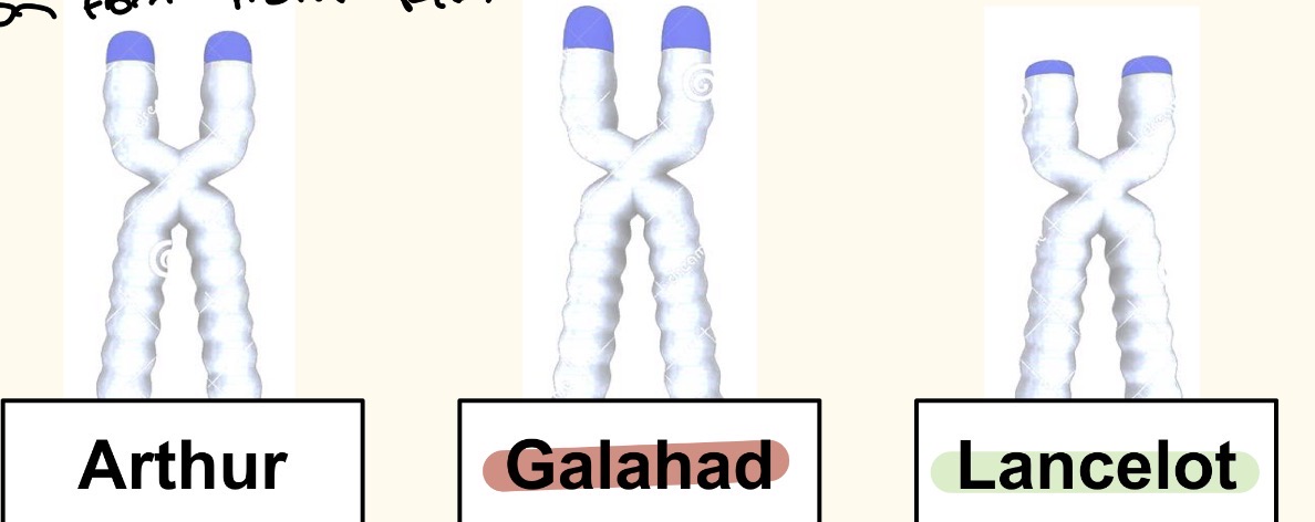 <p>Which one is the oldest and the youngest</p>