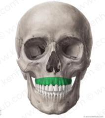 knowt flashcard image