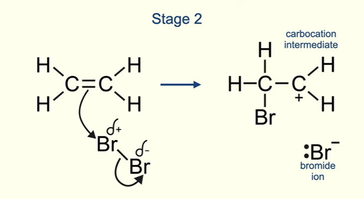 <p>The pair of electrons in pi bond of alkene are attracted to the positive bromine , so positive bromine is the electrophile, and electron pair now forms a covalent bond to this bromine atom</p><p>At same time , cov bond in bromine molecule now breaks , and pair of electrons move onto the other bromine atom. ( heterolytic fission)</p><p>So at end of stage2 we have carbocation intermediate and bromide ion</p><p></p>