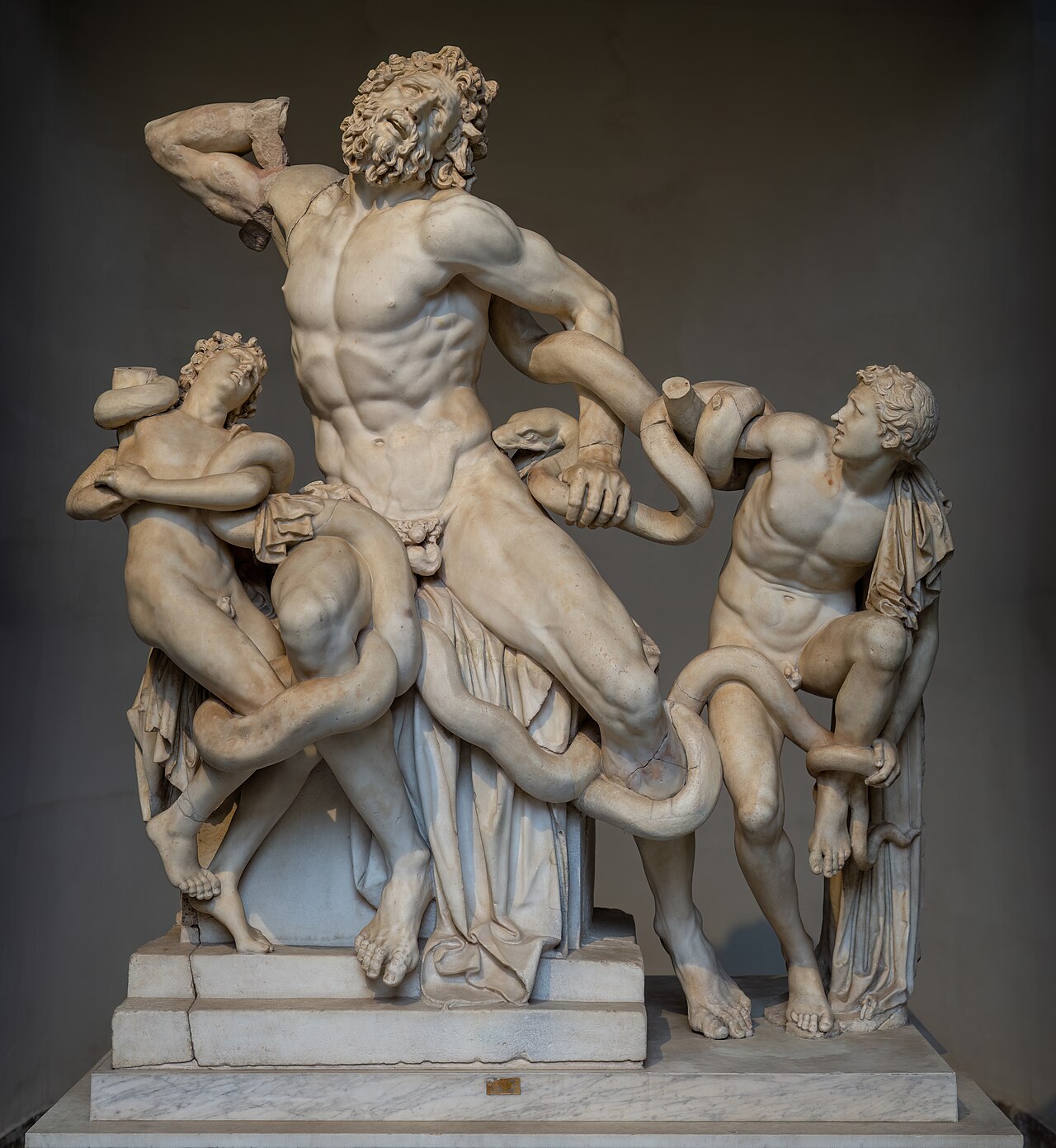 <p><strong>Laocoön and His Sons</strong></p>
