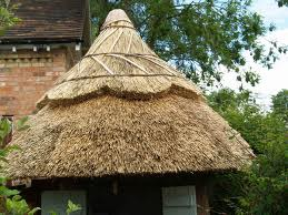 <p>thatched roof</p>