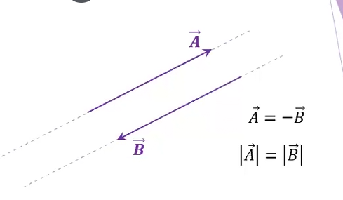 <p>tiene un vector negativo y otro positivo , sus modulos son iguales </p>