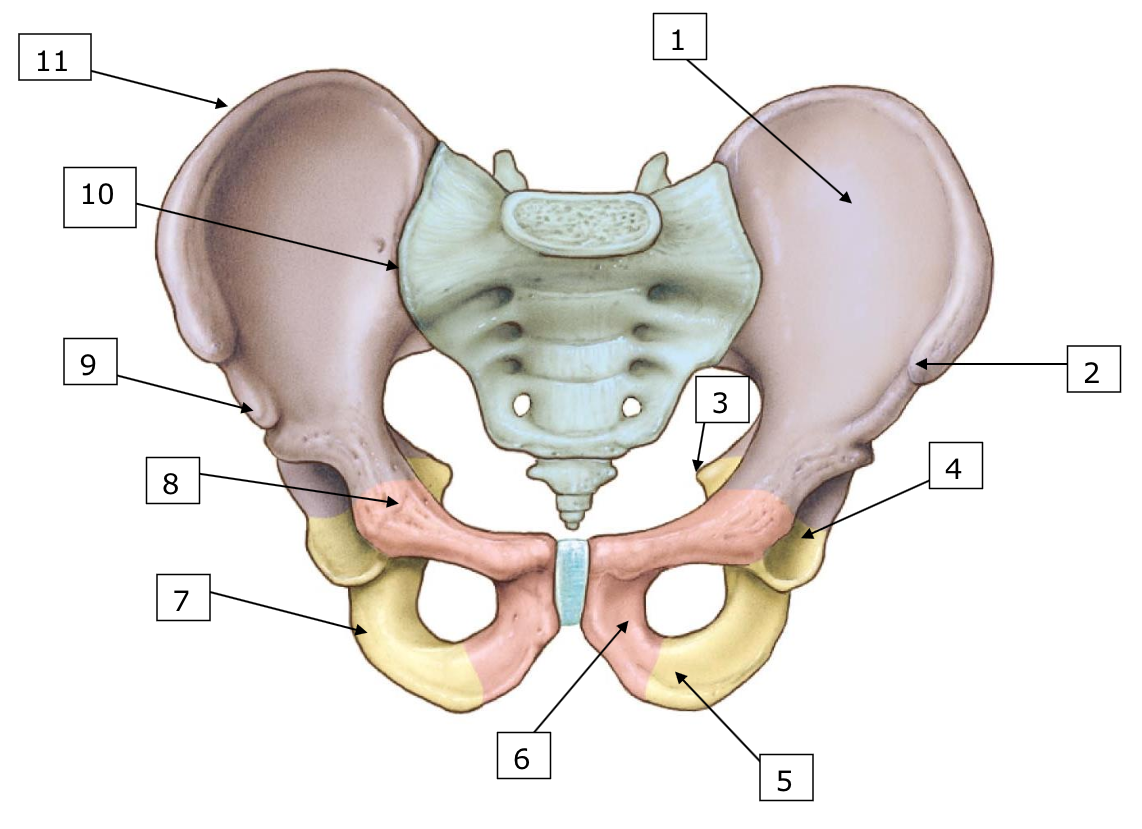 <p>Identificar 8</p>