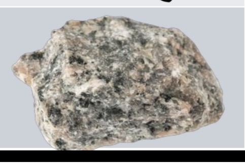 <p>Granodiorite</p>