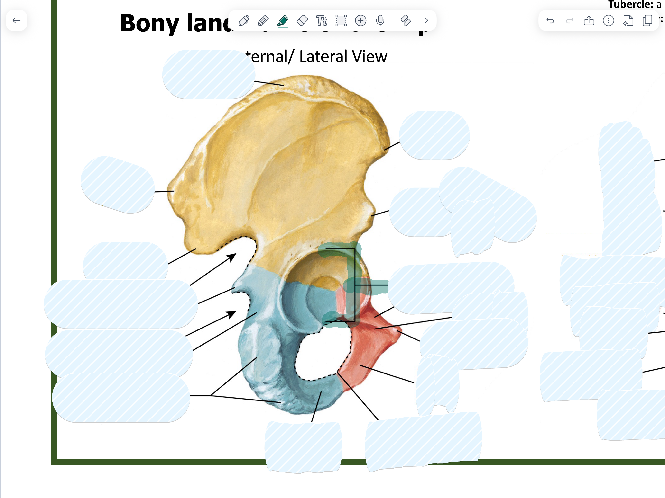 knowt flashcard image