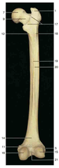 <p>(identify 19)</p>