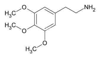 <p><strong>IDENTIFY THE STRUCTURE:</strong></p>