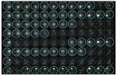 <p>uses a series of tubes with different concentrations of an antibiotic to determine the lowest concentration of the antibiotic that is effective (MIC, minimum inhibitory concentration)</p>