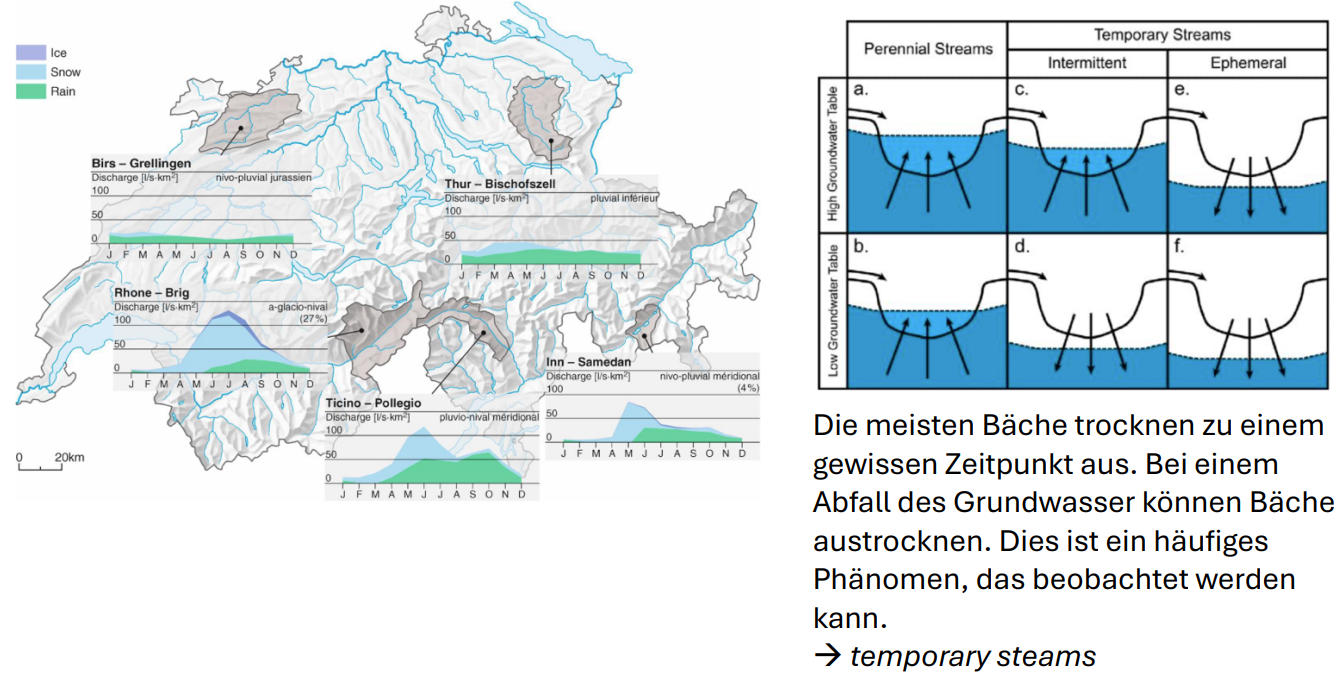 <ul><li><p>alpine Regionen - mehr Abfluss (Gletscherschmelze)</p></li><li><p>mittlere Lagen - Schnee</p></li><li><p>Mittelland - Regen Niederschlag</p></li></ul><p></p>