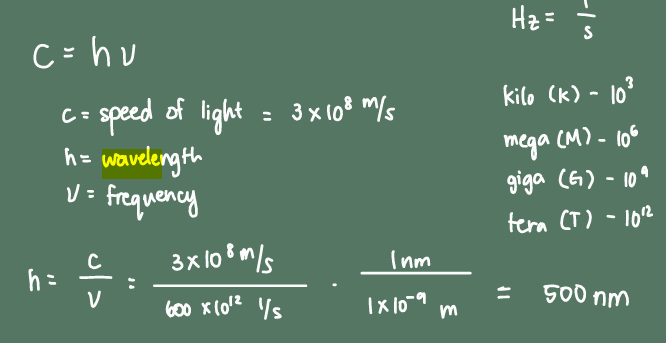 <p>A. 500 nm</p>