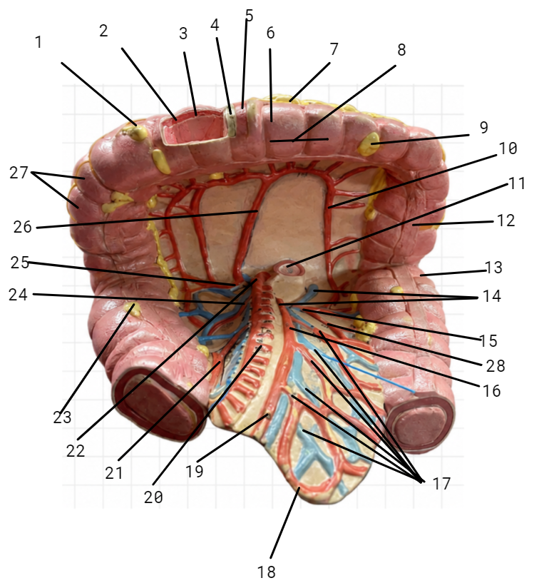 <p>15</p>