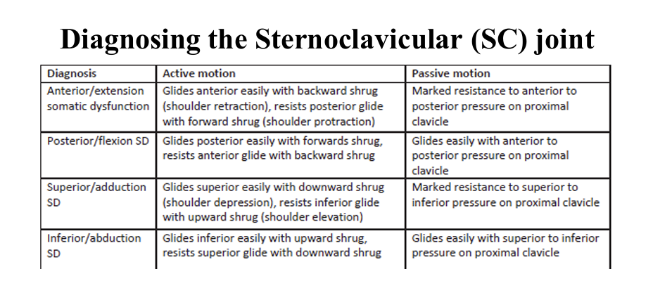 <p>The SC joint is palpated by going to the proximal clavicle and seeing where it attaches to the sternum. </p><p>The patient will be moving their shoulders themselves (active range of motion)</p>