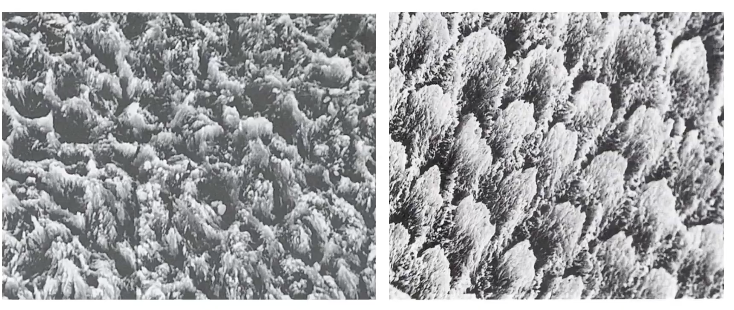 Etched Surface