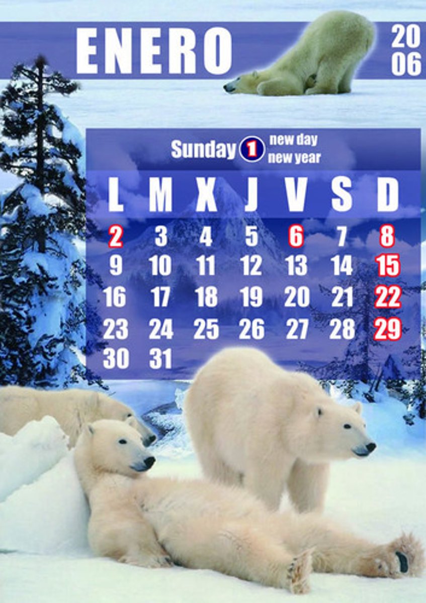 <p>January</p>