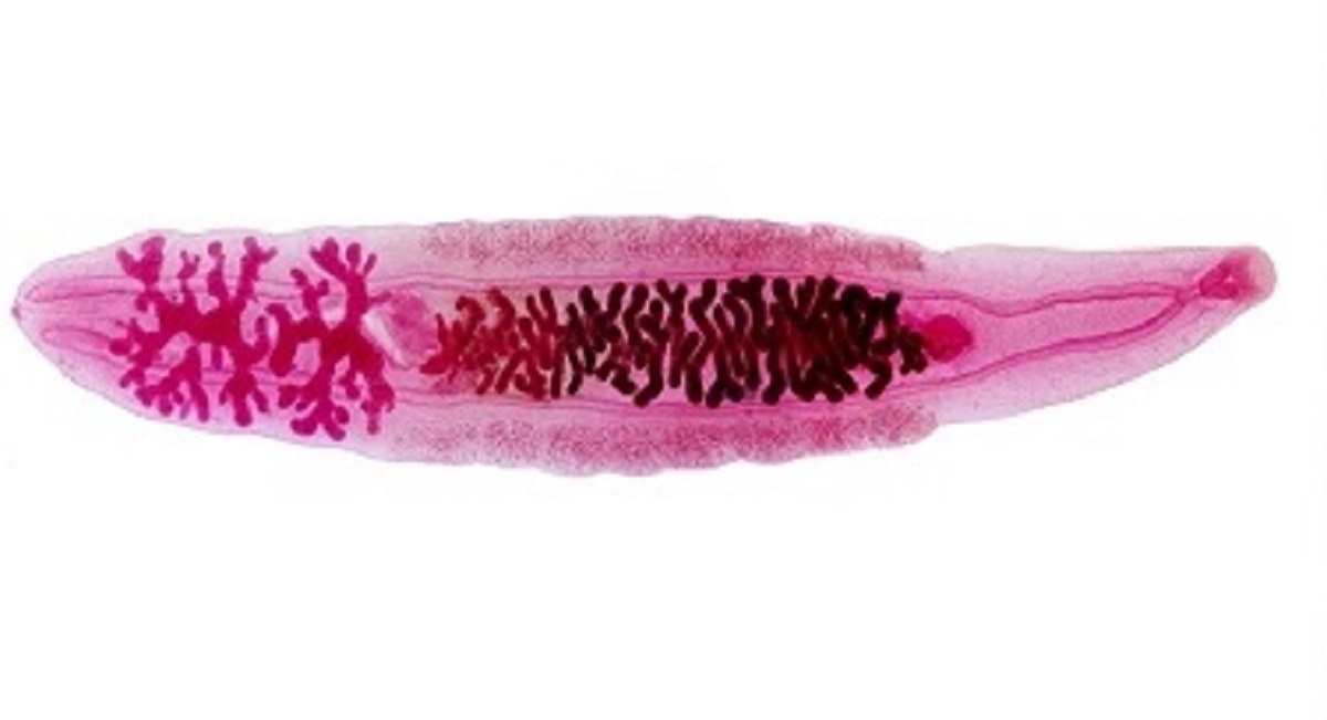 <p>Name?</p>
