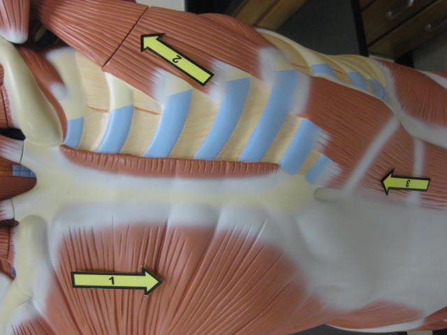 <p>What is at #1?</p>