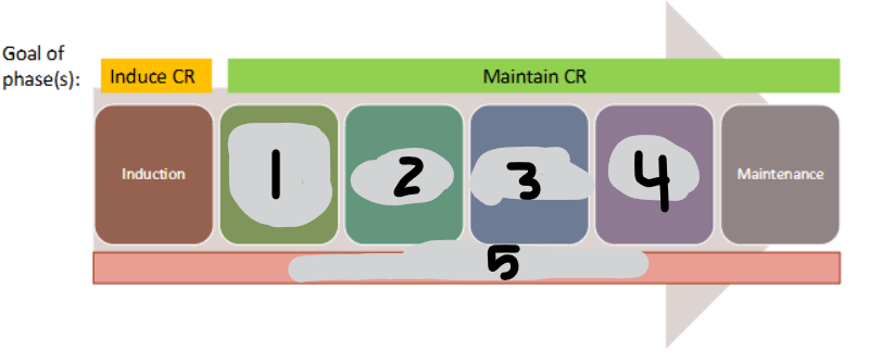 <p>ALL LYMPHOCYTIC Treatment Phases</p>