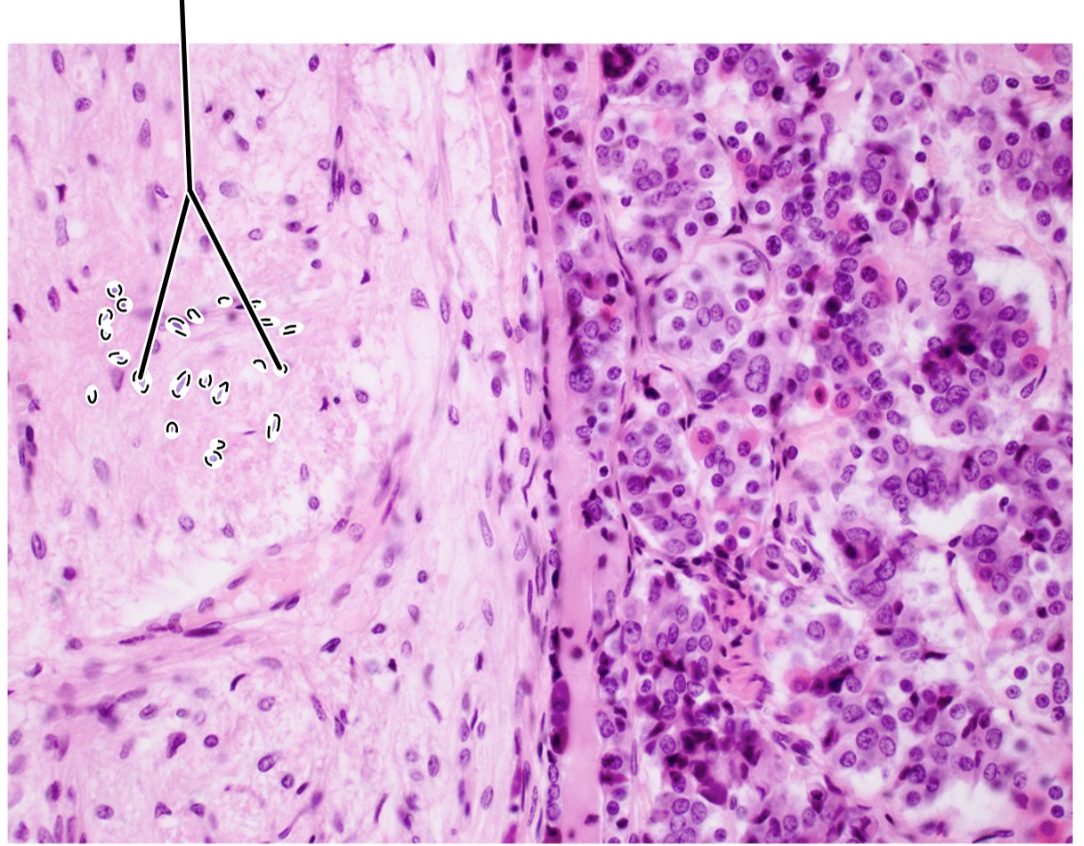 <p>ID highlighted area</p>
