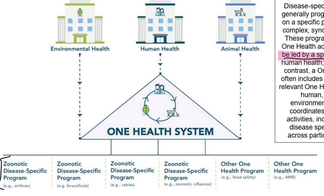 <p>pros: allows us to better understand health &amp; create more EFFECTIVE solutions when combating disease</p><p>cons: takes a lot more time, skill, commitment, &amp; resources; hard to quantify &amp; predict its benefits </p><p>.</p><p>these programs tend to be lead by one sector (e.g. animal health) → so OH includes delegates from all 3 sectors to better coordinate the programs activities &amp; make sure each sector is represented </p>